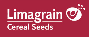 Logo_Cereal_Seeds_Hor_Red_RGB