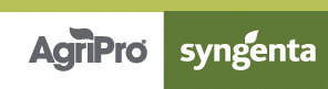 mast_graphics_semifinal