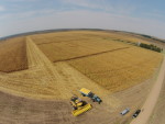 2015 Corn Harvest